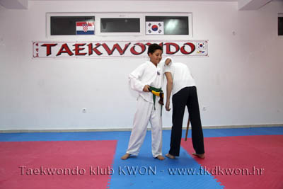 taekwondo kwon training
